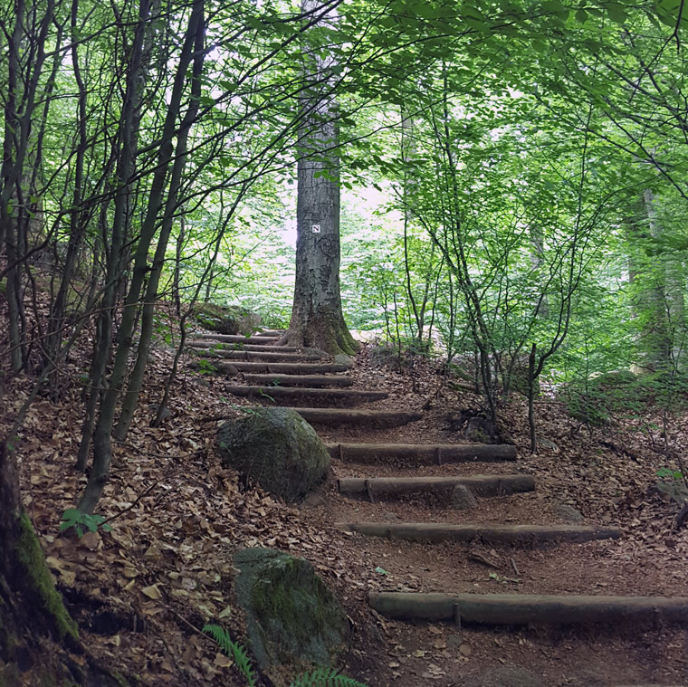 Home Gestalttherapie Mannheim Gestalt und Trauer